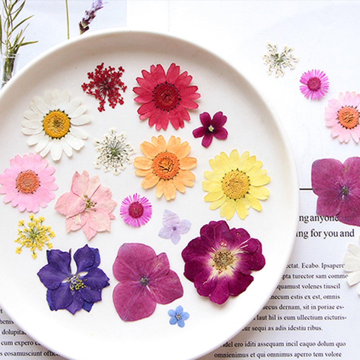 Dried Pressed Flowers , Natural Dry Flowers Leaves