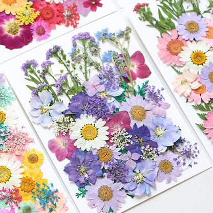 Dried Pressed Flowers , Natural Dry Flowers Leaves