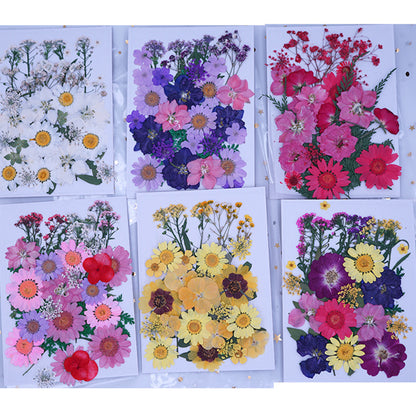 Pressed Dried Flowers, Making Resin Product Jewelry Pendant Floral Decors