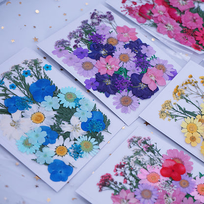 Pressed Dried Flowers, Making Resin Product Jewelry Pendant Floral Decors