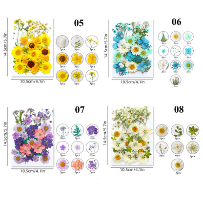 Pressed Dried Flowers, Making Resin Product Jewelry Pendant Floral Decors